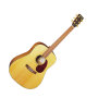 Martin SWDGT Sustainable Wood Series Acoustic Guitar, with Case