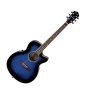 Ibanez AEG10E AEG Cutaway Acoustic-Electric Guitar