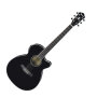 Ibanez AEG10II Grand Concert Acoustic-Electric Guitar