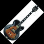 Ibanez AFJ95 Artcore Express Hollowbody Electric Guitar
