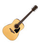 Ibanez AW50 Artwood Acoustic Guitar