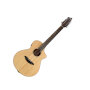 Breedlove Passport C250/SMe-12 Acoustic-Electric Guitar, 12-String (with Gig Bag)
