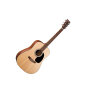 Martin D-1GT Dreadnought Acoustic Guitar, with Case