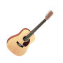 Martin D12X1AE Acoustic-Electric Guitar, 12-String