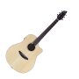 Breedlove Passport D250/SMe Dreadnought Acoustic-Electric Guitar, with Gig Bag