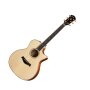 Taylor GAce 2012 Fall Limited Edition Acoustic-Electric Guitar