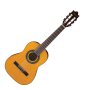 Ibanez GA1 1/2-Size Classical Acoustic Guitar