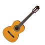Ibanez GA2 3/4-Size Classical Acoustic Guitar