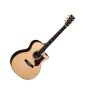 Martin GPCPA1 Plus Performing Artist Acoustic-Electric Guitar (with Case)