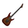 ESP LTD Elite MII FR Electric Guitar (with Case)