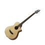 Breedlove Passport B350 SMe4 Acoustic-Electric Bass (with Gig Bag)