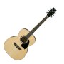 Ibanez PC15WC Grand Concert Acoustic Guitar (with Case)