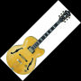 Ibanez PM2 Pat Metheny Archtop Electric Guitar