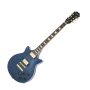 Epiphone Limited Edition Genesis Deluxe Pro Electric Guitar