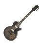 Epiphone Limited Edition Les Paul Plus Top Pro Electric Guitar