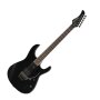 Fernandes Revolver Pro 81 Electric Guitar