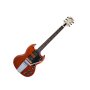 Gibson Frank Zappa Roxy SG Electric Guitar (with Case)