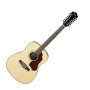 Ibanez SGT122 Sage Series 12-String Acoustic Guitar
