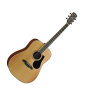 Alvarez AD60 Dreadnought Acoustic Guitar