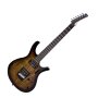 Parker PDF80 Electric Guitar
