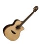 Washburn WCG25SCE Comfort Series Acoustic-Electric Guitar