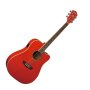 Washburn WD10CE Apprentice Series Acoustic-Electric Guitar