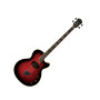 Washburn AB40SH Stu Hamm Acoustic-Electric Bass (with Case)