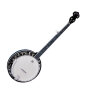 Washburn B14 5-String Banjo (with Case)