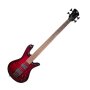 Spector Legend Classic 4 Fretless Electric Bass