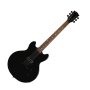 Gibson ES-339 Studio Electric Guitar (with Case)