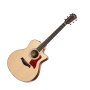 Taylor 316ce 2012 Spring LTD Acoustic-Electric Guitar (with Case)