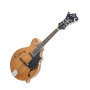 Epiphone MM50E F-Style Acoustic-Electric Mandolin