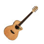 Luna Fauna Hummingbird Acoustic-Electric Guitar
