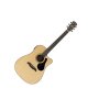 Alvarez AD30CE Dreadnought Acoustic-Electric Guitar