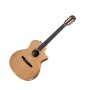 Taylor 414ce-N 2012 Fall Limited Edition Classical Nylon Acoustic-Electric Guitar