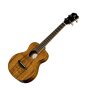 Breedlove USA Master Class Tenor Ukulele (with Case)