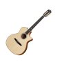 Taylor GAce 2012 Fall Limited Edition Classical Nylon Acoustic-Electric Guitar