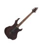 ESP LTD F100FM Flame Maple Electric Guitar