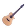 Breedlove Atlas Solo C350/SRe Acoustic-Electric Guitar, 12-String with Case
