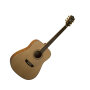 Washburn WD30S Dreadnought Acoustic Guitar