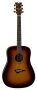 Vintage Sunburst