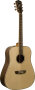 Washburn WD26S Acoustic Guitar