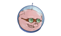 zZounds is an authorized dealer of Pigtronix