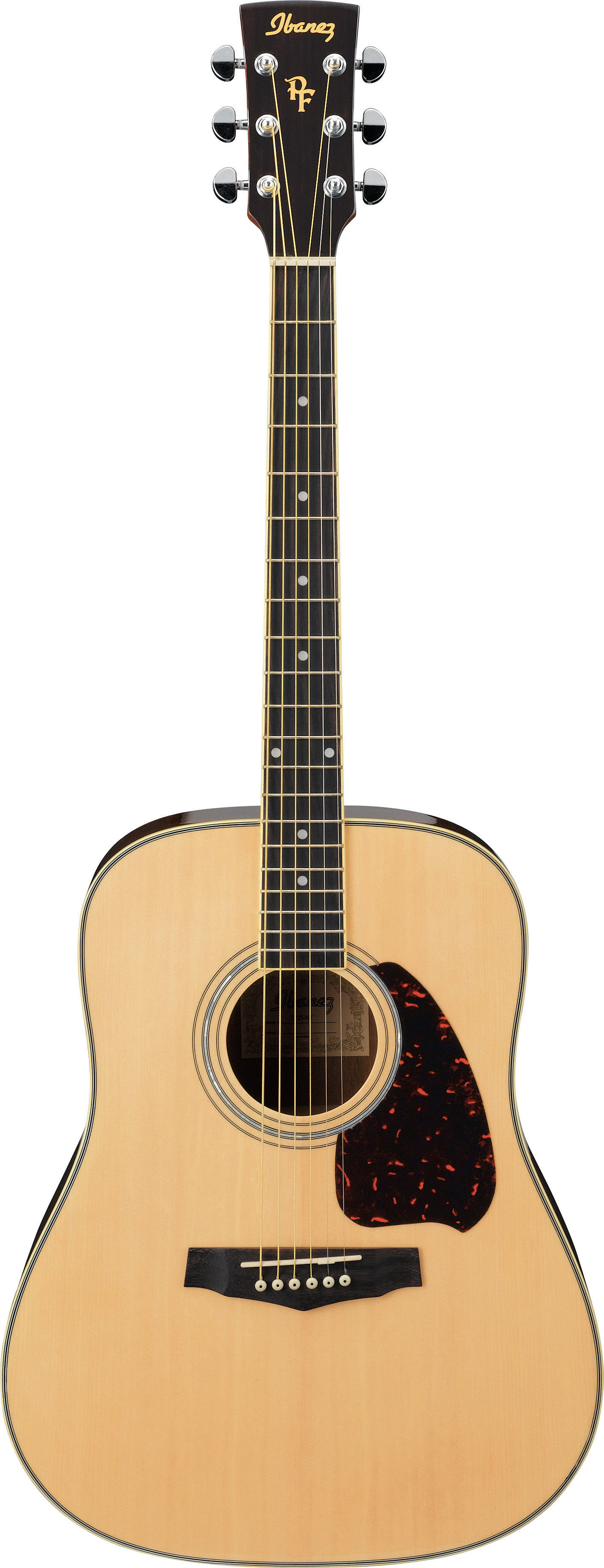 Acoustic Ibanez