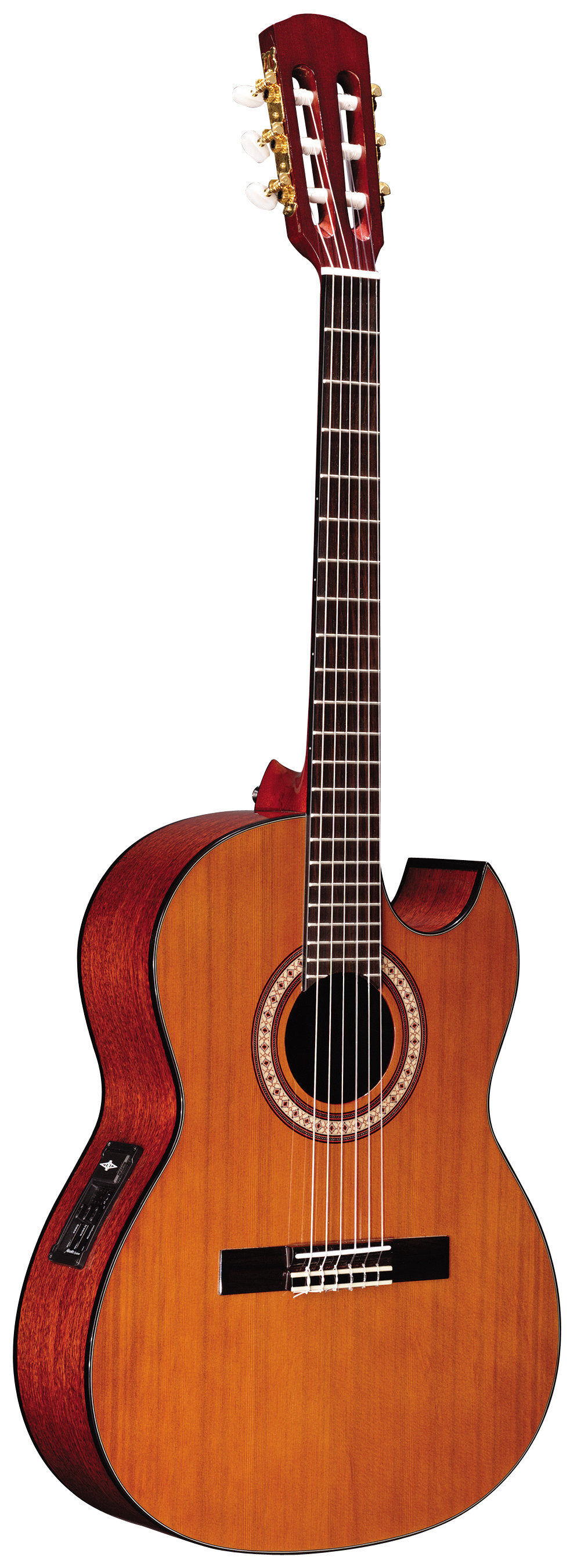 Acoustic Alvarez Guitar