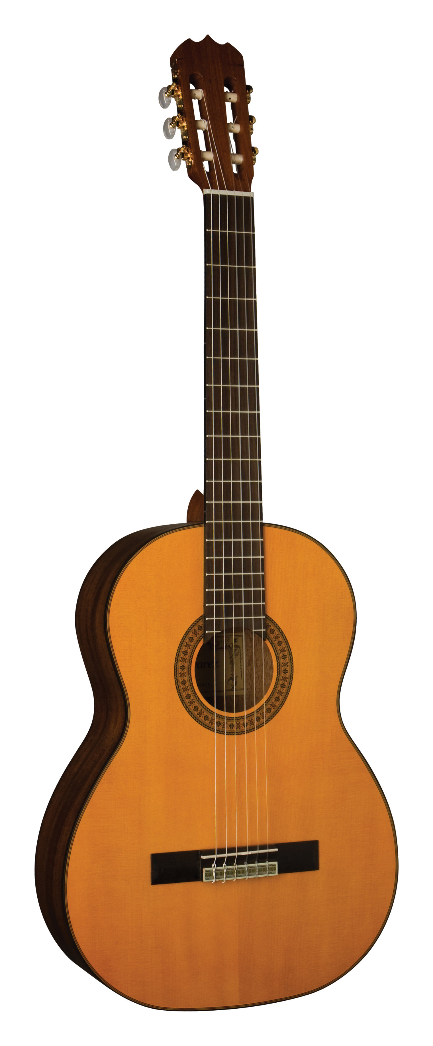 Acoustic Alvarez Guitar