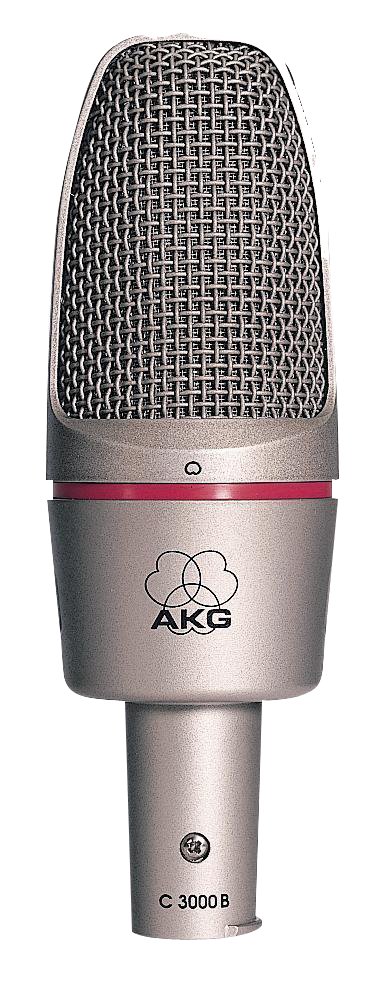 Akg C300