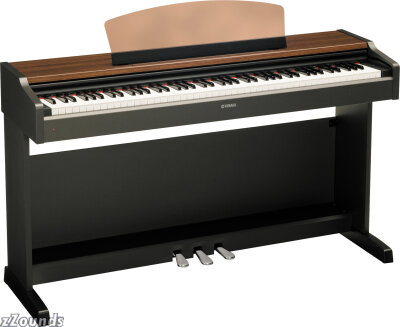 large product image