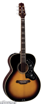 Takamine Pro Series LTD2009 Acoustic-Electric Guitar (with Case)