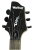 Headstock Detail